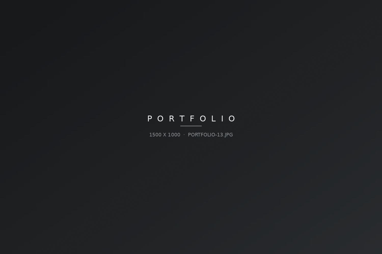 Portfolio-Bild 13