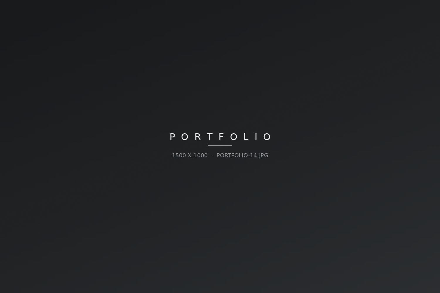 Portfolio-Bild 14